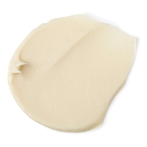 Calamar Lonja/Sabana