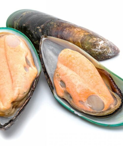 Mejillón Media concha