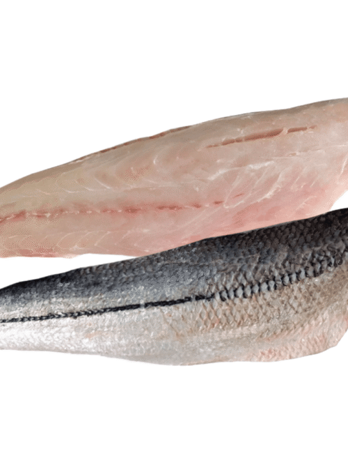 FIL. Róbalo Salvaje