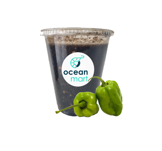 Salsa Habanera Tatemada (200ml) (O. MART)