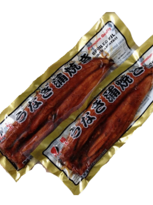 anguila alto vacio Anguila