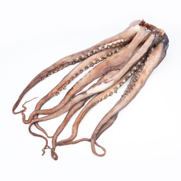 Calamar Tentaculo Crudo